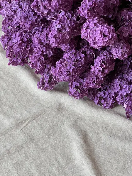 Açık arkaplanda güzel pembe leylak çiçekleri