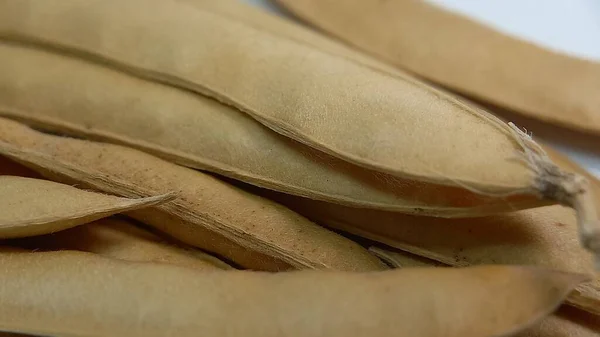 Kuru deriye sarılı yer fıstığı fotoğrafı.