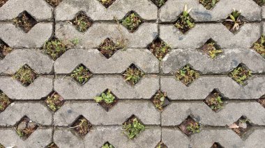 Taş duvar arkaplan dokusu ve yosun yosunu
