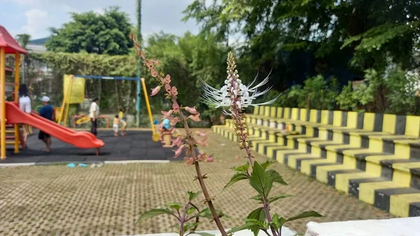 Parktaki çocuk parkı.