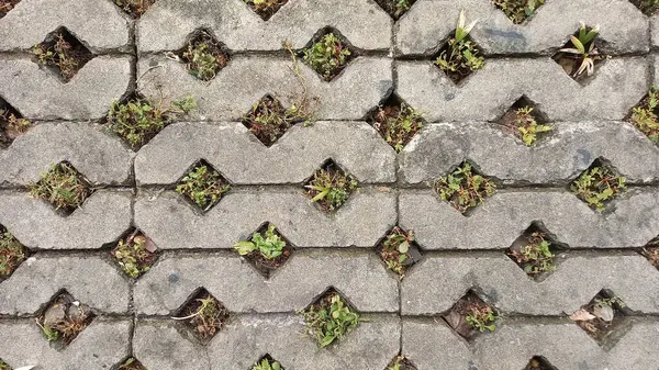 Taş duvar arkaplan dokusu ve yosun yosunu