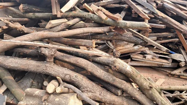 Yakacak odun için kuru ağaç yığını