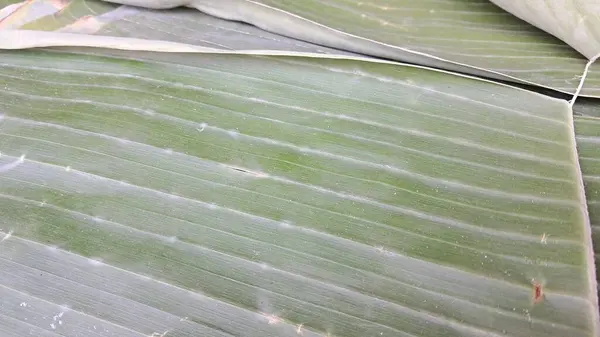 食品を包むのに役立つバナナの葉の写真 — ストック写真