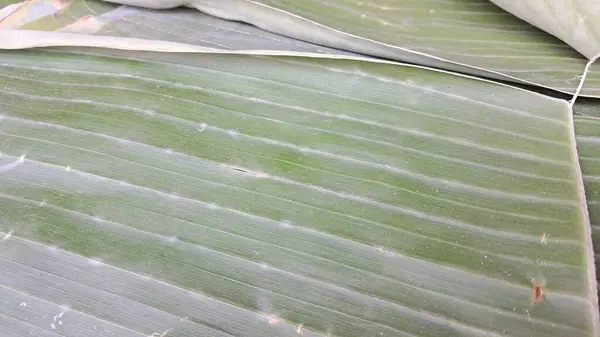 Photo Banana Leaves Which Useful Wrapping Food — Stock Photo, Image