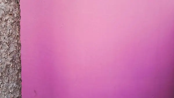 pembe duvarlar ve ağaç gövdeleri