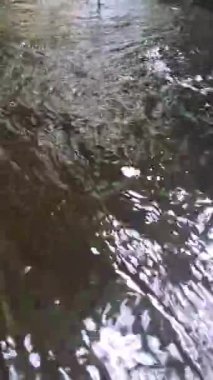 Sakin Nehirde Su Akar