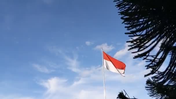 Κουνώντας Την Εθνική Σημαία Της Ινδονησίας Merah Putih — Αρχείο Βίντεο