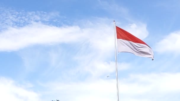 Han Viftade Med Indonesiens Flagga Merah Putih — Stockvideo