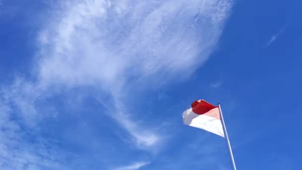 Размахивая Государственным Флагом Индонезии Ясным Голубым Небом — стоковое видео
