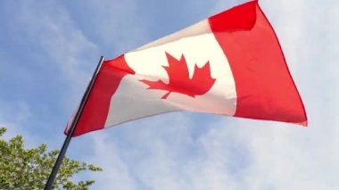 Low angle and cinematic shot of the Canadian flag fluttering in the wind. Patriotism and nationalism concept