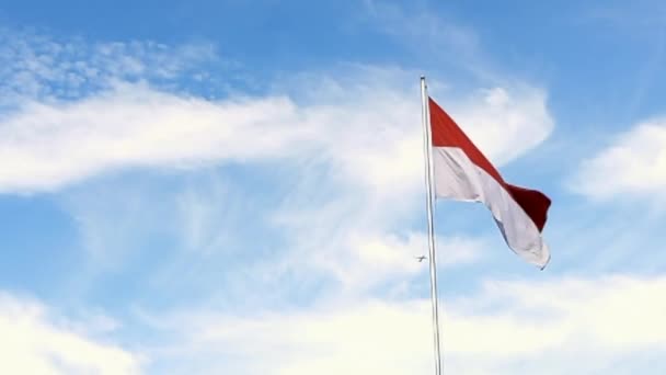 Endonezya Ulusal Bayrağı Nın Üzerinde Dalgalanan Ticari Bir Uçağın Alçak — Stok video