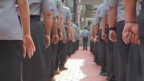 Syuting Sinematik Pegawai Negeri Melakukan Rapat Pagi Mereka Melakukan Gerakan — Stok Video