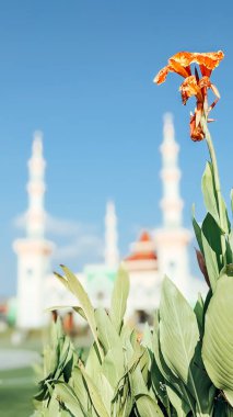 Önplan olarak yeşil ve kırmızı çiçek açan tropikal bitkilerle Endonezya 'nın merkezindeki Tegal şehir meydanındaki büyük caminin bulanık görüntüsü.