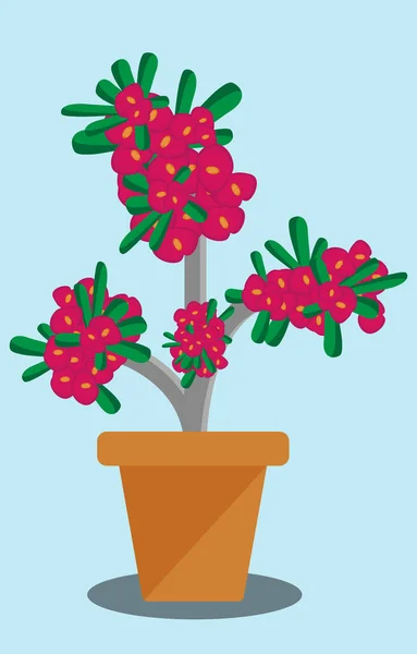 Ilustração Vetorial Uma Planta Vaso — Vetor de Stock