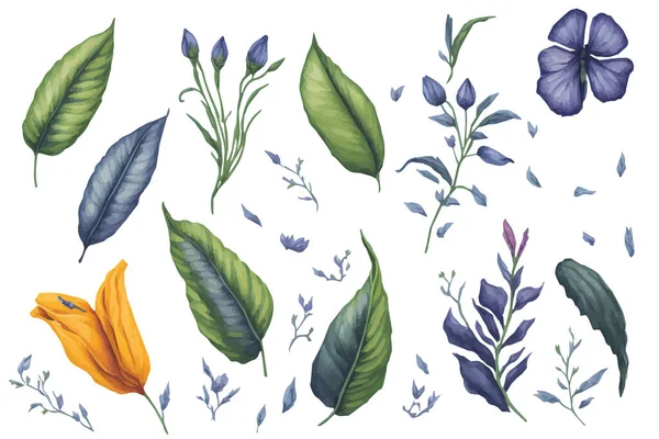 Υδατογραφία Πεταλούδα Μπιζέλι Και Φύλλα Κλιπ Σετ Ρεαλιστική Floral Εικονογραφήσεις — Διανυσματικό Αρχείο