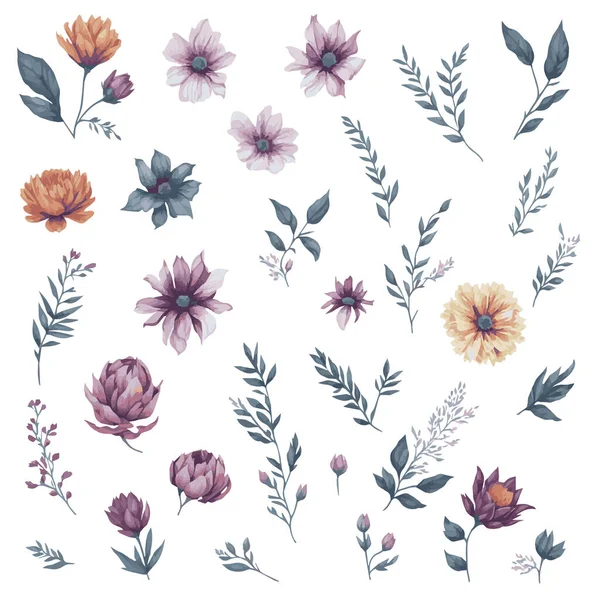 Conjunto Clipart Flores Hojas Acuarela — Vector de stock