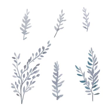 Suluboya elementleri bırakır. Düğün Davetiyesi için uygun beyaz arkaplanda izole edilmiş kolleksiyon botanik vektörü, tarihi kaydedin, teşekkürler, veya tebrik kartı.