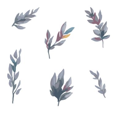 Suluboya elementleri bırakır. Düğün Davetiyesi için uygun beyaz arkaplanda izole edilmiş kolleksiyon botanik vektörü, tarihi kaydedin, teşekkürler, veya tebrik kartı.