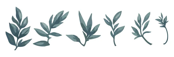 Set Von Aquarellblättern Sammlung Botanischer Vektor Isoliert Auf Weißem Hintergrund — Stockvektor