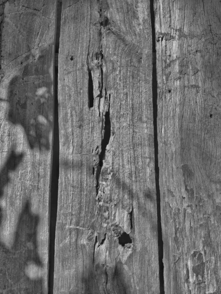 Wood Texture Background Details — Stock Photo, Image