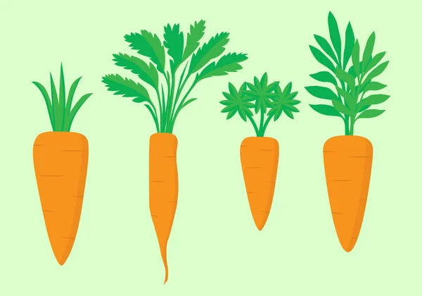 Havuç ve yapraklar ikon vektör çizim seti, düz tasarım