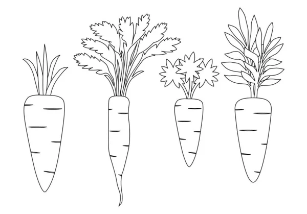 胡萝卜和叶子图标向量图集 轮廓涂鸦 — 图库矢量图片