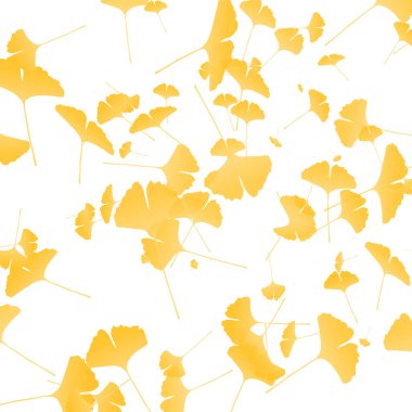Güz Rengi Ginkgo Arkaplanından Çıktı