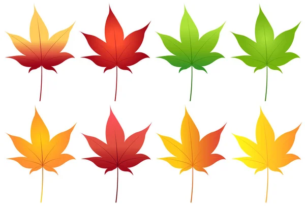 Podzimní Listy Javorové Listy Podzimní Ikona — Stockový vektor