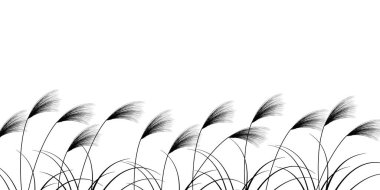 Gümüş Çimen Sonbaharı 15 Gece Arkaplanı