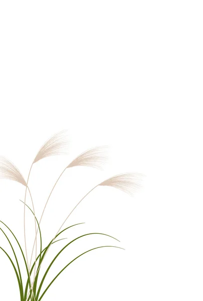 Silver Grass Φθινόπωρο Δεκαπέντε Νύχτες Φόντο — Διανυσματικό Αρχείο