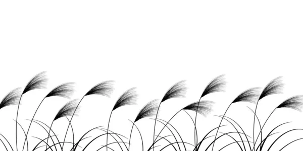 Silver Grass Φθινόπωρο Δεκαπέντε Νύχτες Φόντο — Διανυσματικό Αρχείο