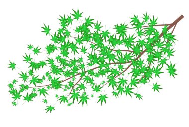 Akçaağaç sıcak hava simgesini bırakır