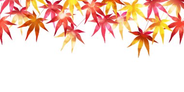 Sonbahar Akçaağaç Ağaç Yaprakları Sonbahar Arkaplanı