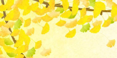 Güz Rengi Ginkgo Arkaplanından Çıktı