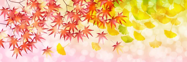 Herfst Kleur Ginkgo Bladeren Achtergrond — Stockvector