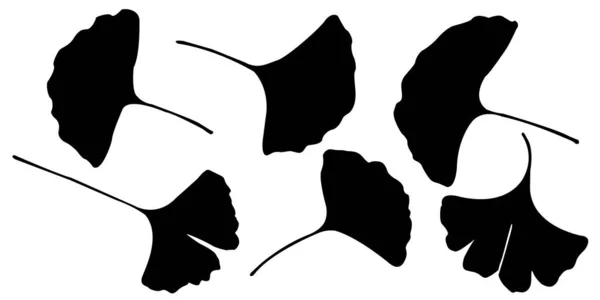 Осінній Колір Ginkgo Silhouette Значок — стоковий вектор