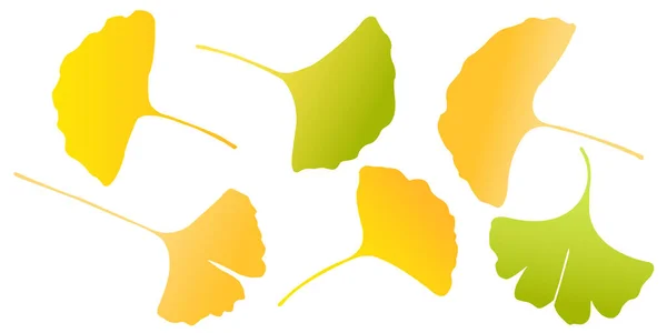 Höstfärger Ginkgo Leaf Ikon — Stock vektor
