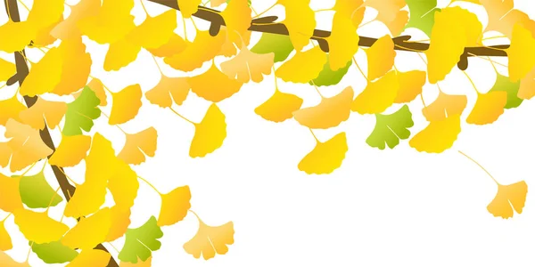 Höstfärg Ginkgo Löv Bakgrund — Stock vektor