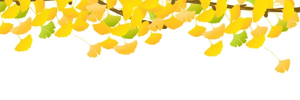 Autumn Color Ginkgo Leaves Background — Stock Vector