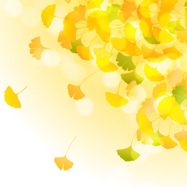 Herbst Farbe Ginkgo Blätter Hintergrund — Stockvektor