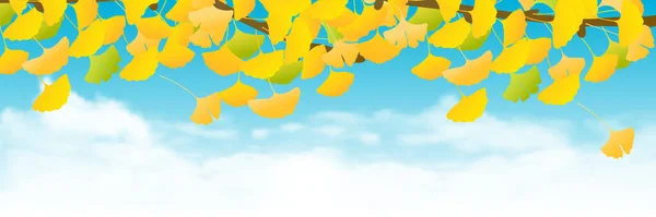 Höstfärg Ginkgo Löv Bakgrund — Stock vektor