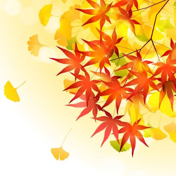 Осенний Цвет Ginkgo Листья Фона — стоковый вектор