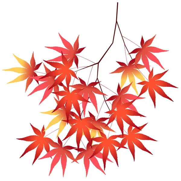 Herbstblätter Ahornblätter Autumn Icon — Stockvektor