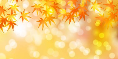 Sonbahar Akçaağaç Ağaç Yaprakları Sonbahar Arkaplanı