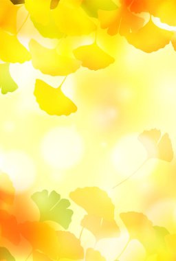 Güz yaprakları ginkgo sonbahar arkaplanı