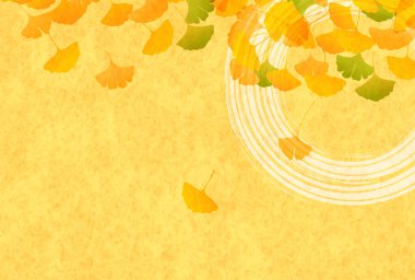 Güz yaprakları ginkgo sonbahar arkaplanı