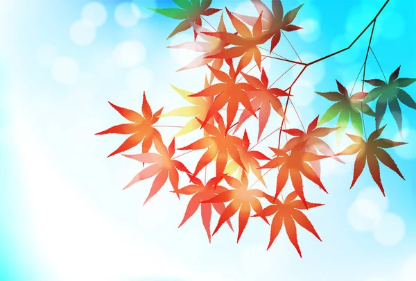 Φθινόπωρο Αφήνει Φόντο Του Δένδρου Σφενδάμου — Διανυσματικό Αρχείο