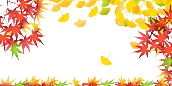 Hösten Färg Lönn Träd Ginkgo Bakgrund — Stock vektor