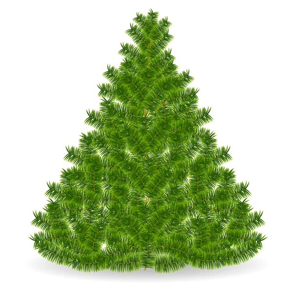 Jedle Strom Vánoční Zimní Ikony — Stockový vektor