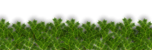 Christmas Fir Tree Snö Bakgrunden — Stock vektor